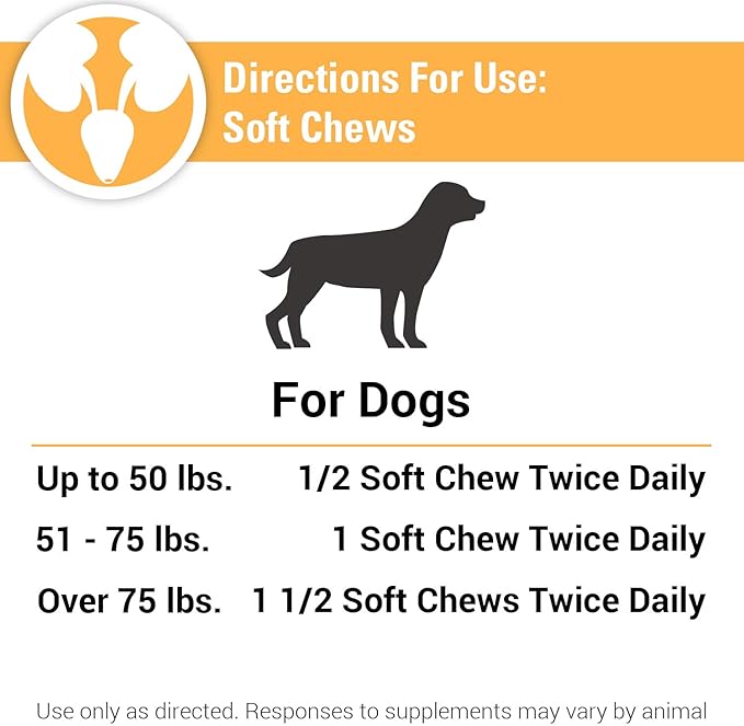 Vet Classics Bladder Support Urinary Tract & Incontinence Dog Supplement – Maintains Bladder Health for Dogs, Helps With Pet Incontinence – Soft Chews, Tablets – 60 Soft Chews