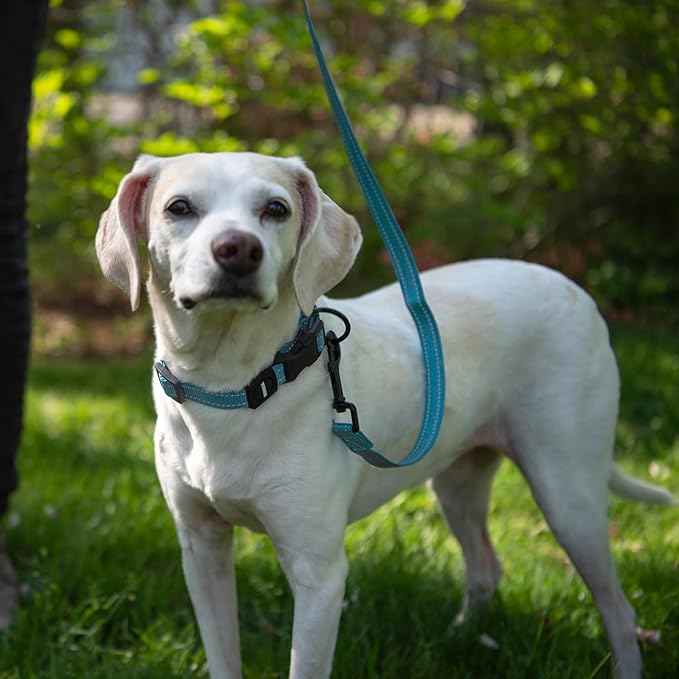 Voyager Reflective Dog Leash with Neoprene Handle, 5ft Long, Supports Small, Medium, and Large Breed Puppies, Cute and Heavy Duty for Walking, Running, and Training - Baby Blue (Leash), L