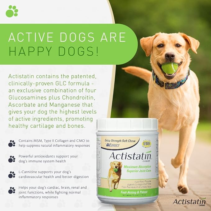 Canine Large Dog Soft Chews, 120ct – Patented Extra-Strength Joint, Cartilage, Soft Tissue Supplement: Glucosamine, Chondroitin, Manganese, MSM, L-Carnitine – High Absorption, Fast Results