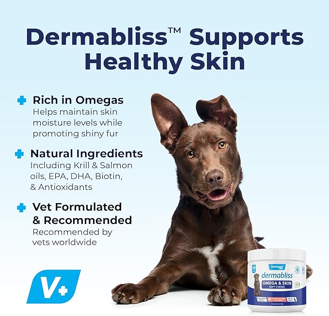 Vetnique Dermabliss Omega & Skin Health Fish Oil for Dogs Soft Chews Healthy Skin & Coat for Dogs with Biotin & DHA - Hickory Salmon Dog Treats (60ct Chews)