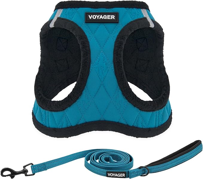 Voyager Step-in Plush Dog Harness – Soft Plush, Step in Vest Harness and Reflective Dog 5 ft Leash Combo with Neoprene Handle for Small and Medium Dogs by Best Pet Supplies -Set (Turquoise Plush), M