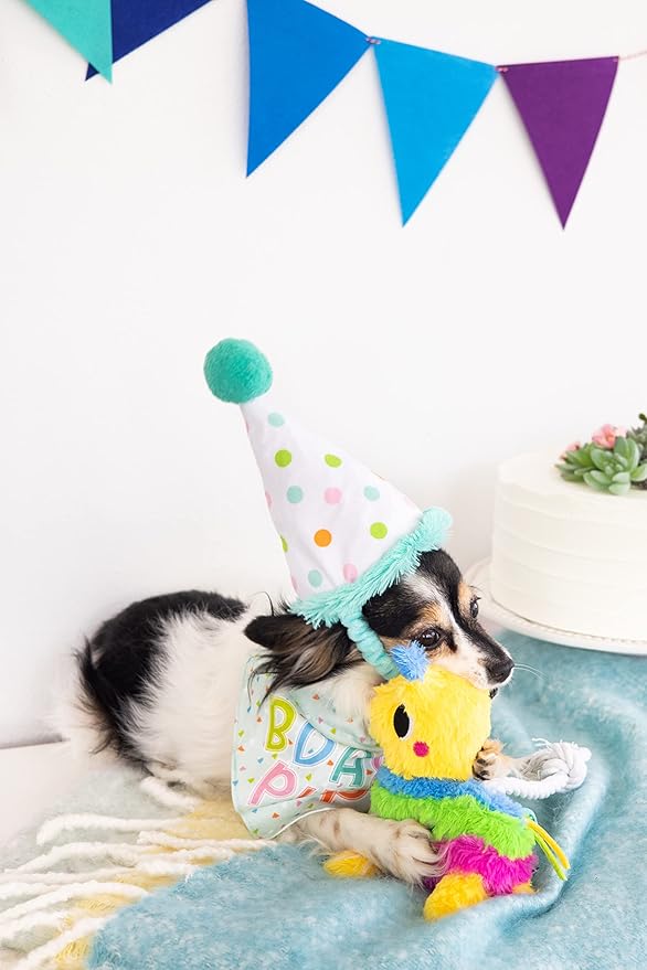 Pearhead Birthday Pup S/M Bandana Hat Set, Pet Birthday Gift, Dog Birthday Party Accessories, Party Hat and Bandana for Dogs, Pet Owner Must Have Accessories, Small/Medium