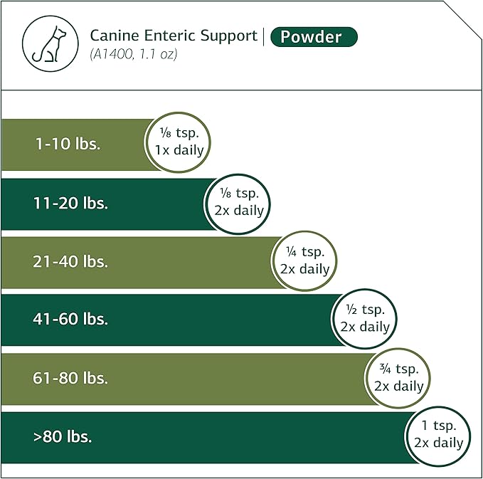 Standard Process - Canine Enteric Support - Digestive System Support for Dogs - 30 Grams