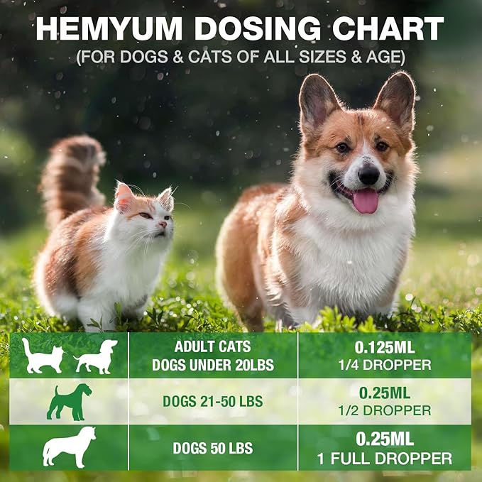 Pet Hemp Oil for Dogs and Cats,Organic Hemp Extract Drops, Sleep Aid Anxiety,Stress, Hip & Joint Pain Relief, Dog Calming Treats Rich in Omega 3-6-9, Natural Pet Hemp Oil(Natural)
