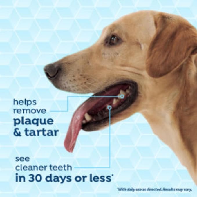 Fresh Breath Certified Wellness Collection Vet Recommended Peanut Butter Oral Care Clean Teeth Gel for Dogs, 4oz - Removes Plaque & Tartar - Cleans Teeth - Dog Dental Care - No Brushing Required