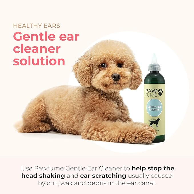 Pawfume Gentle Ear Cleaner for Dogs – Natural Dog Ear Cleaner Solution – Ear Wax Cleaner for Dogs Ear Treatment for Dogs – Dog Ear Wash Ear Cleaning Solution for Dogs – Dog Ear Wash Cleaner