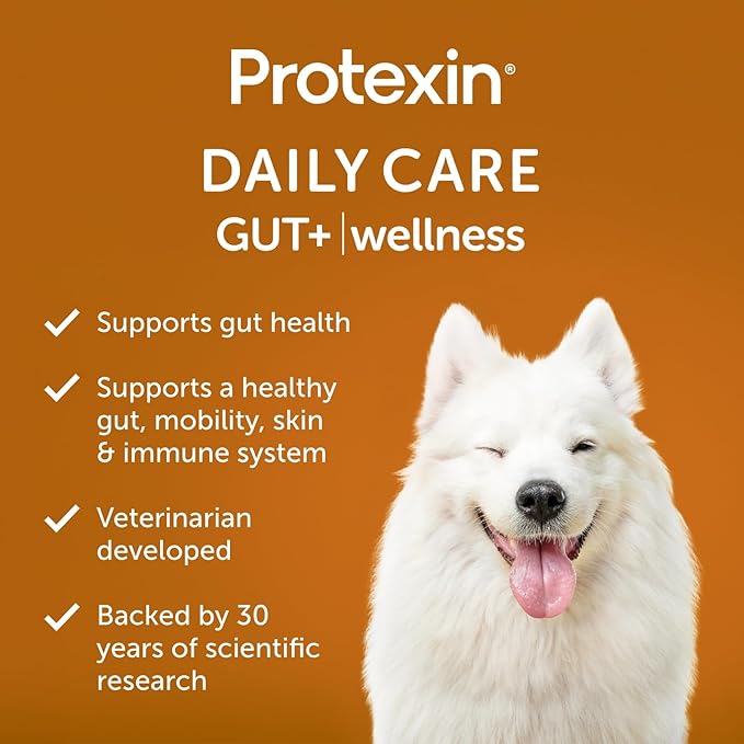 Daily Care Gut+ Wellness, 60 probiotic and postbiotic Dog Supplement Chews – Duck and Carrot Flavored