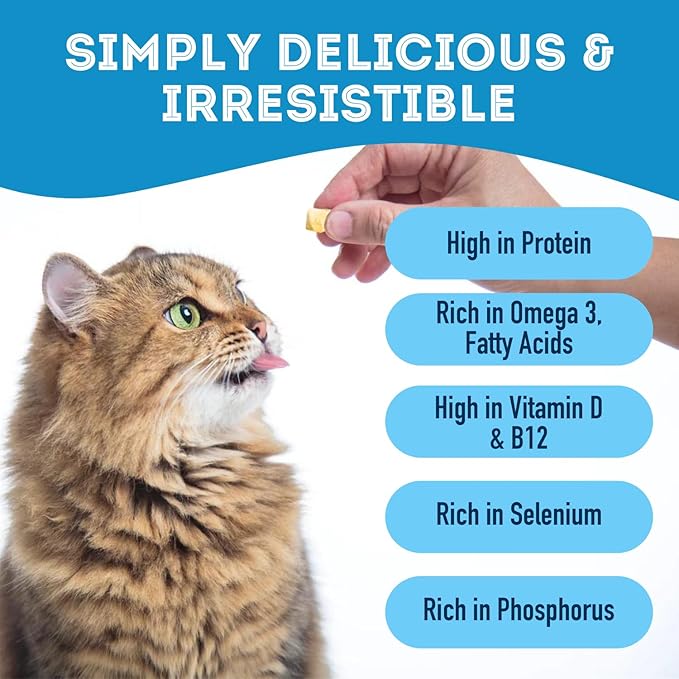 Wild Cod for Dogs & Cats (1.41 oz, Pack of 1) - Freeze Dried Single Ingredient Dog Treats - Natural Dog Treats, Grain Free