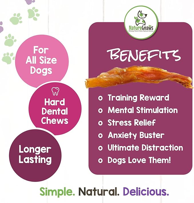 Nature Gnaws Mixed Beef Tendons & Paddywack for Dogs - Premium Natural Beef Dental Bones - Long Lasting Tasty Dog Chew Treats - Puppy Training Reward