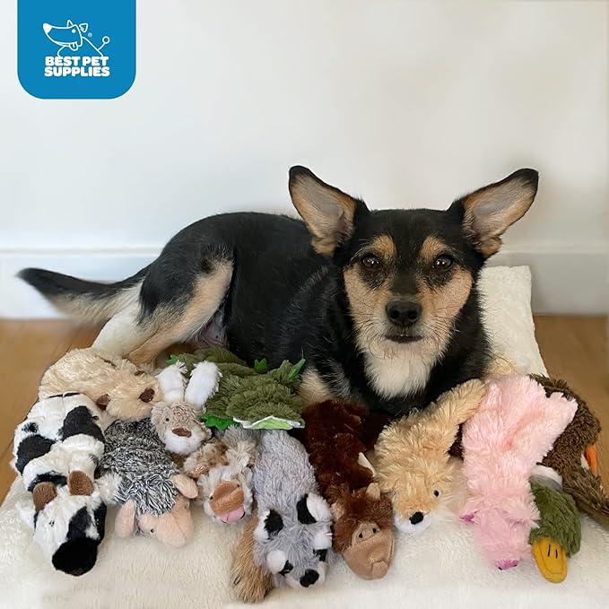 Best Pet Supplies Stuffing Free Squeaky Dog Toys for Small Dogs, Medium Dogs, and Large Dogs, Durable, Best Dog Chew Toy for Teething Puppy, Indoor Play - Monkey, Small