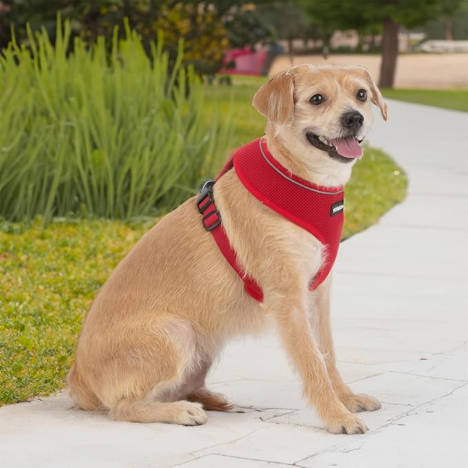 Aerolite No Pull Mesh Dog Harness with Lightweight, Soft, Breathable Chest Coverage, Reflective Stitching, and Adjustable Straps for Walking, Running, Training, Heavy Duty and Durable - Red, S