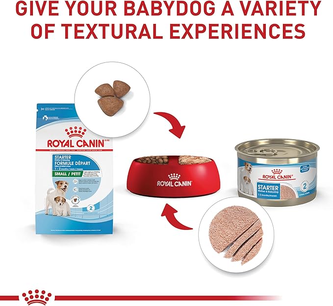Royal Canin Size Health Nutrition Small Starter Mother & Babydog Dry Dog Food, 2.5 lb Bag