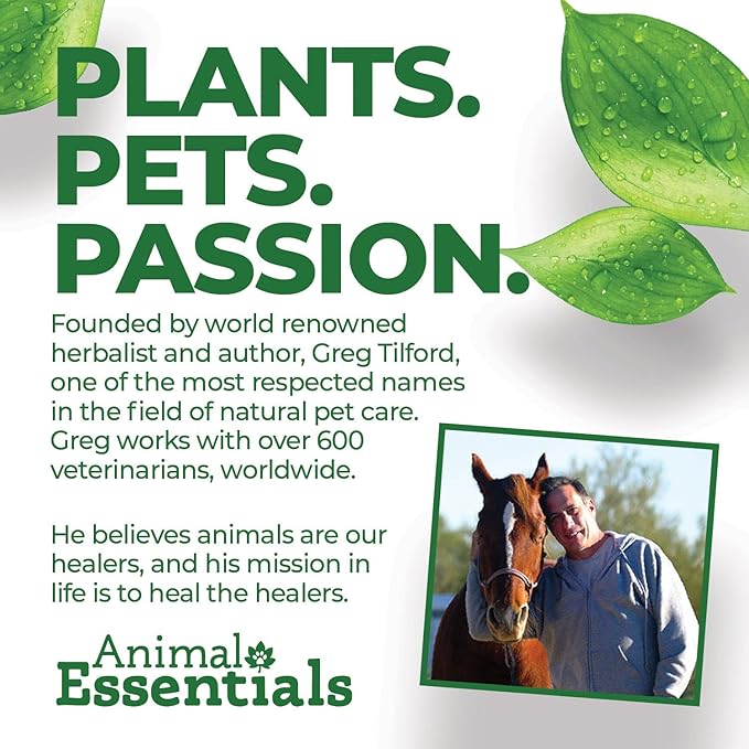 Animal Essentials Seaweed Calcium Supplement for Dogs & Cats, 12 oz (2-Pack), Iceland Seaweed Magnesium, Boron, Zinc