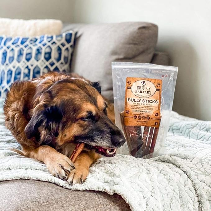 BRUTUS & BARNABY Grass Fed Bully Sticks for Dogs, Fully Digestible Dog chew, Grain Free, Rawhide Free, 100% Natural Beef, Small Batched for Freshness and Low Odor