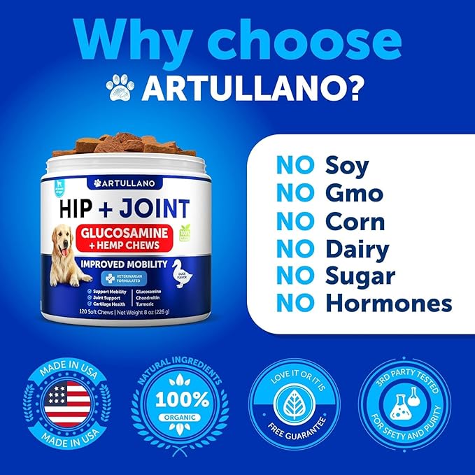 Hemp Hip and Joint Supplement for Dogs - Glucosamine for Dogs - Dog Joint Pain Relief Treats - Chondroitin - MSM - Hemp Oil - Mobility Support - Advanced Canine Joint Health - Made in USA - 120 Chews