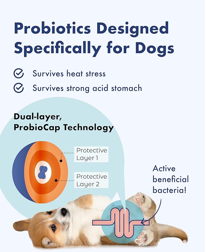 Probiotics for Dogs and Puppy, Powder Digestive Health & Immune Support Supplements with Palatinose, Chicory Dietary Fiber and Lactobacillus - 30 Individually Packaged (1 PACK (30 Count))
