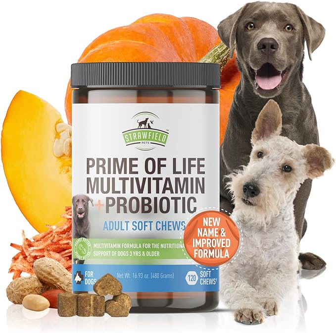 Strawfield Pets Dog Multivitamin + Dog Probiotics Soft Chews | Glucosamine Chondroitin, Probiotics, Omega 3 | Dog Supplements & Vitamins | Dog Health Supplies | 120 Grain Free Chews, USA