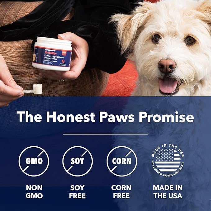 Honest Paws Mobility Bone and Joint Supplement for Dogs - Enhance Bone Health Lubricate Joints - Green Lipped Mussel, Glucosamine, Fish Oil, Chondroitin Sulfate, MSM, Vitamin C with Natural Flavors