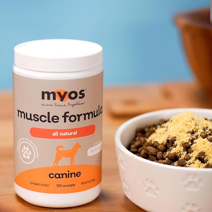 MYOS Canine Muscle Formula - All-Natural Muscle Building Supplement - Helps Reduce Muscle Loss in Dogs Due to Normal Aging and Improves Recovery from Injury or Surgery.