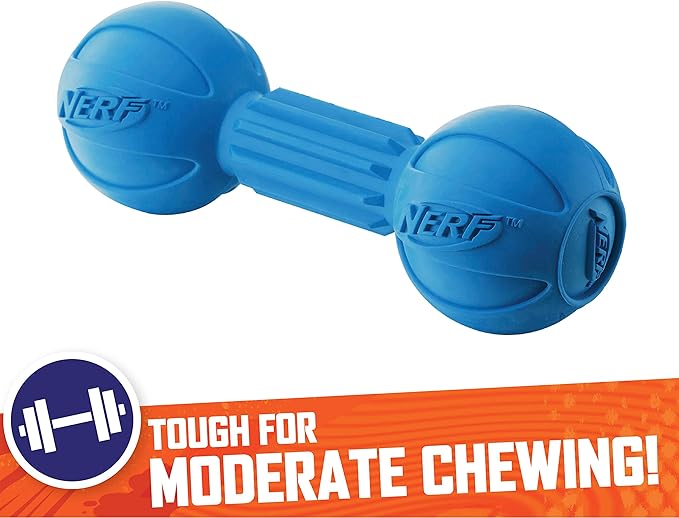 Nerf Dog Rubber Chew Barbell Dog Toy For Aggressive Chewers, Lightweight, Durable and Water Resistant, 7.5 Inches, For Medium/Large Breeds, Single Unit, Blue
