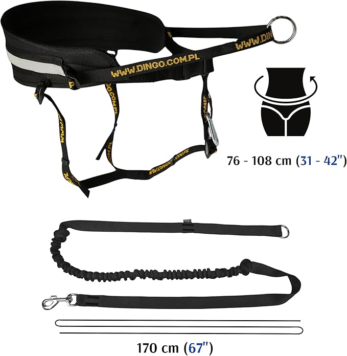 Dingo hands free leash belt for dog walking running hiking, training leash for large dog, bungee leash for medium dog, comfortable adjustable belt for walking with small dog, handle with o-ring Z30004