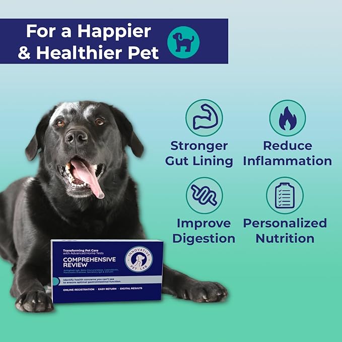 Comprehensive Review- At-Home-Test Kit for Dog Digestive Health & Allergy Causes- Gut Microbiome Symptoms Evaluation & Expert Panel Insights