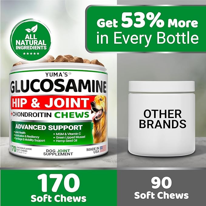 2-Pack Glucosamine for Dogs - Hip and Joint Supplement for Dogs - Glucosamine Chondroitin for Dogs Chews - Dog Joint Pain Relief with MSM - Advanced Dog Joint Supplement Health - Mobility Support