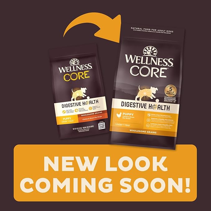 Wellness CORE Digestive Health Dry Puppy Food with Wholesome Grains, Highly Digestible, for Dogs with Sensitive Stomachs, Made in USA with Real Chicken (Puppy Under 1 Year, 4-Pound Bag)