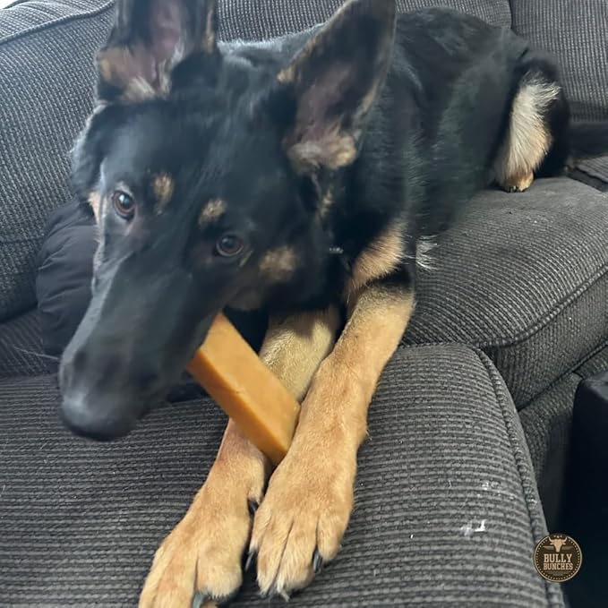 Bully Bunches Extra Large Authentic Yak Cheese Himalayan Chews for Large Dogs & Aggressive Chewers - All Natural Dog Treat Dental Chews, Made with Real Yak Milk - Lactose & Rawhide Free (2 PK)