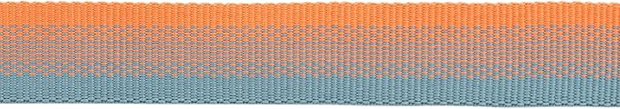 Ruffwear, Front Range Dog Collar, Durable and Comfortable Collar for Everyday Use, Spring Fade, 11"-14"