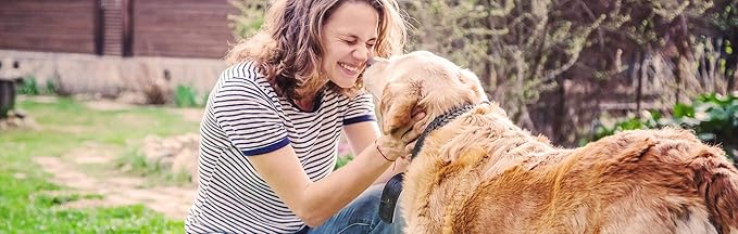 K9 Immunity Plus - Potent Immune Booster For Dogs Over 70 Pounds - Certified Organic – Mushroom Enhanced Supplement - Veterinarian Recommended Dog Health Supplement -90 Chews 3 pack