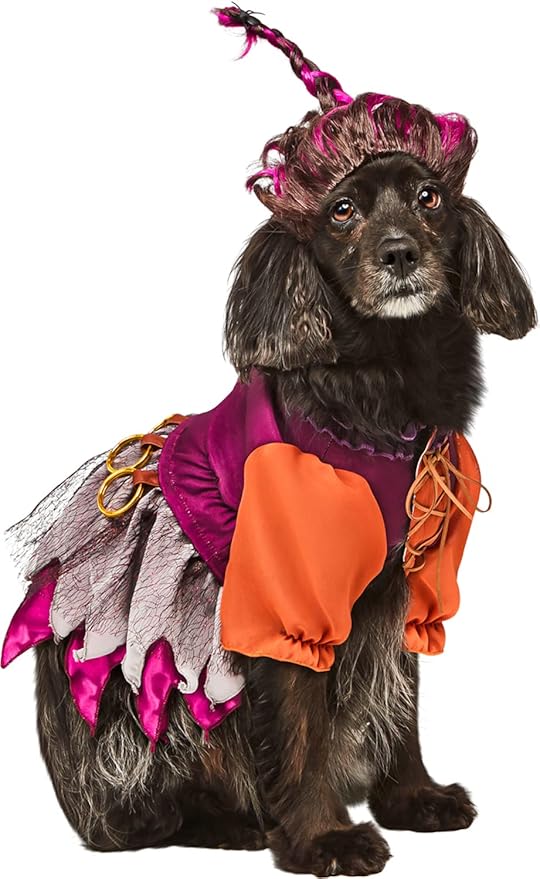 Rubie's Disney Hocus Pocus Mary Sanderson Pet Costume and Wig