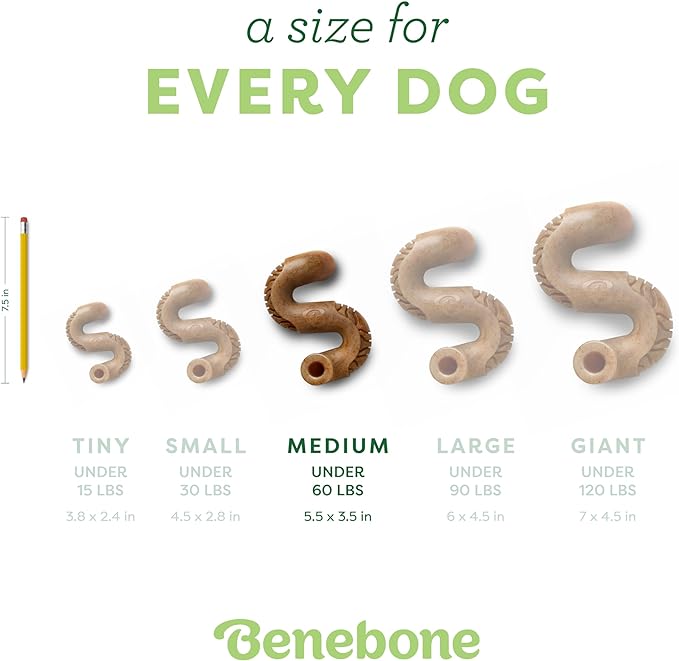Benebone Tripe Bone Durable Dog Chew Toy for Aggressive Chewers, Real Tripe, Made in USA, Medium