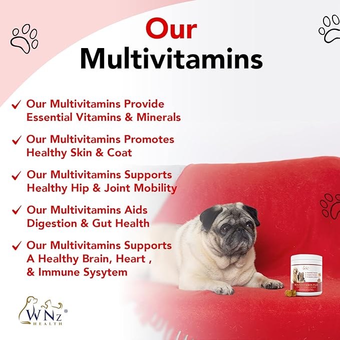 Dog Multivitamins and Supplements, Probiotics for Dogs w/Turmeric & Yucca, Probiotic Dog Chews for Brain Function, Gut & Immune Support, Joint Health & Anti-Inflammatory Supplement, 60 Chews, 8.4 oz