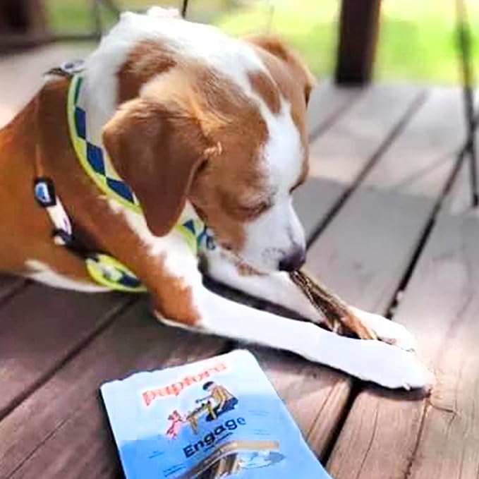 Pupford Thick Bully Sticks for Dogs & Puppies, Smoked for Improved Smell, Natural, Long-Lasting, Single Ingredient Chews for Small & Medium Breeds (6", 10 Count)