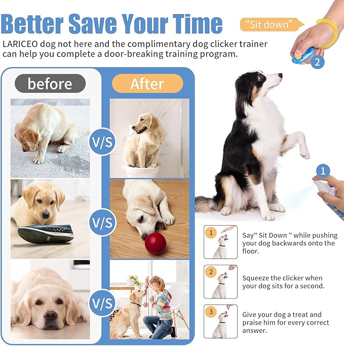 8 oz Not Here Dog Training Spray - Training Solution - Used to Stop Unwanted Behavior - Training Effective Spray - Pet Safety Deterrent.