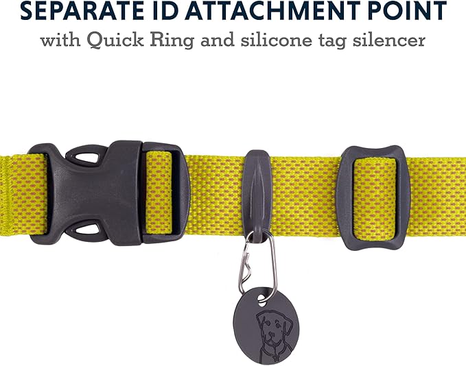 Ruffwear, Hi & Light Dog Collar, Minimal and Ultralight Collar for Everyday Walks and Runs, Lichen Green, 9"-11"