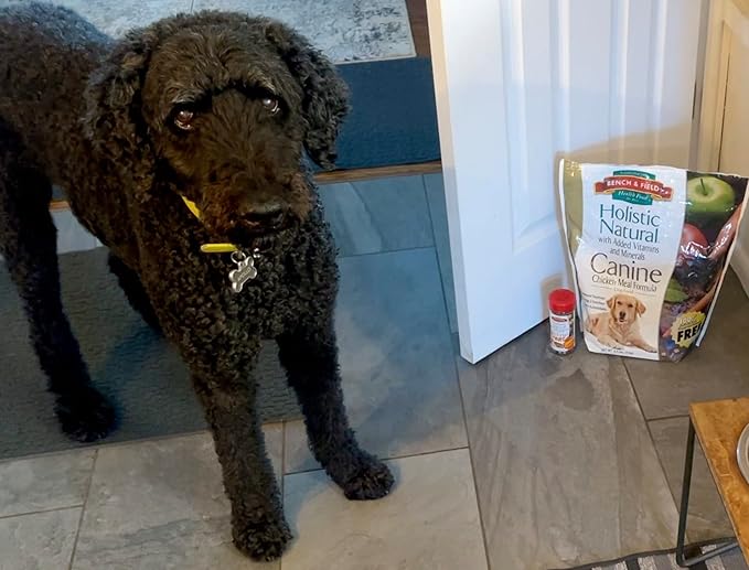 Bench & Field Holistic Natural Adult Dry Dog Food, Chicken Meal and Brown Rice Recipe 12 lb Bag (Pack of 1)