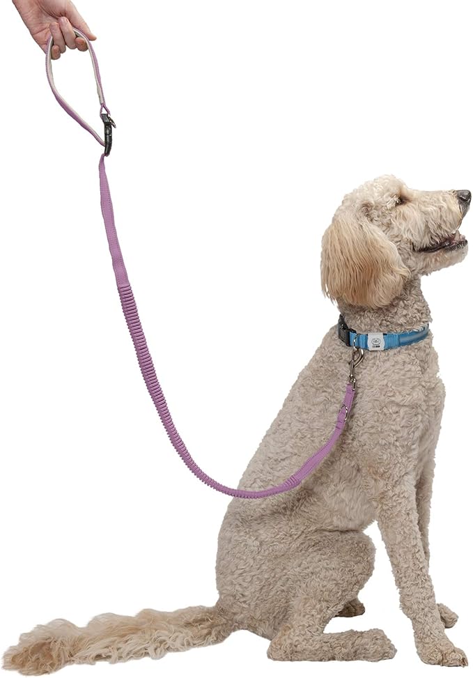 Furhaven Bungee Dog Leash w/ Quick Release Easy Tether - Lavender, One Size