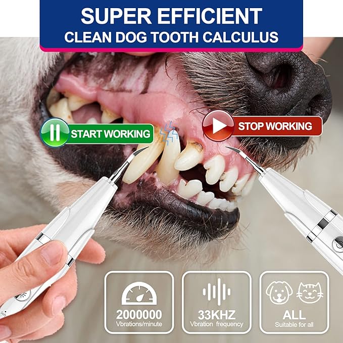 Teeth Cleaner for Dogs, Dog Teeth Cleaning, Dog Ultrasonic Tartar Remover, Keep Dog Teeth Health. (White)