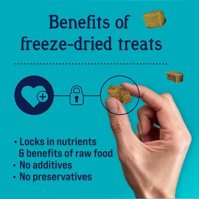 Stewart Freeze Dried Dog Treats, Beef Liver, Salmon, Chicken Liver & Chicken Breast, 4 oz, 12 oz, 14 oz, 21 oz, Resealable Tub, Grain Free & Gluten Free, Single Ingredient, Dog Training Treats