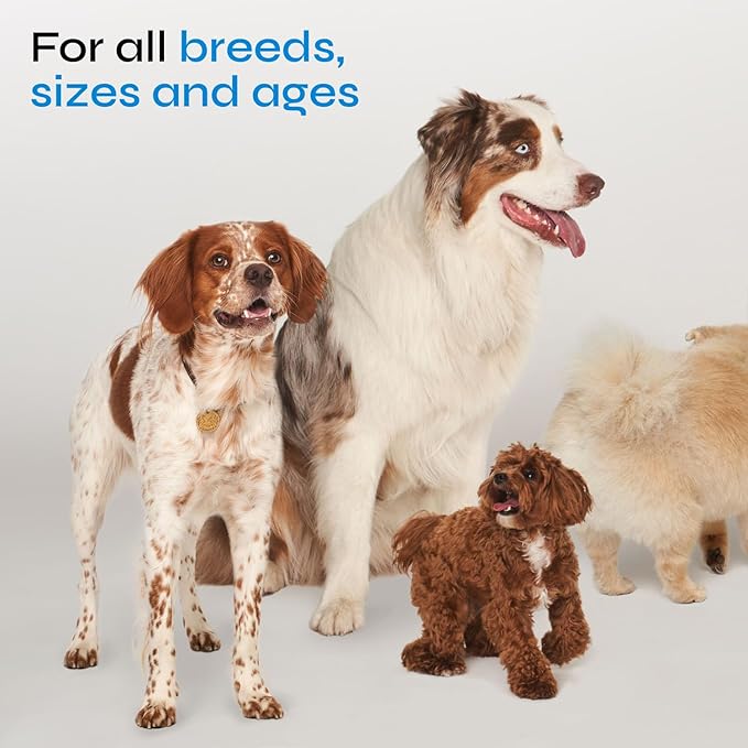 Probiotics for Dogs - Dog Probiotics for Digestive Health - Probiotic Chews for Dogs with Digestive Enzymes - Dog Gut Health Probiotics - Pet Probiotics for Dogs Gut Health Digestive