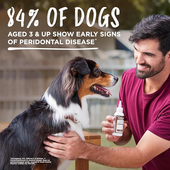 TropiClean Enticers Kong Dental Ball Kit for Large Dogs | Teeth Cleaning Gel | Smoked Beef Brisket Flavor | 1 oz.