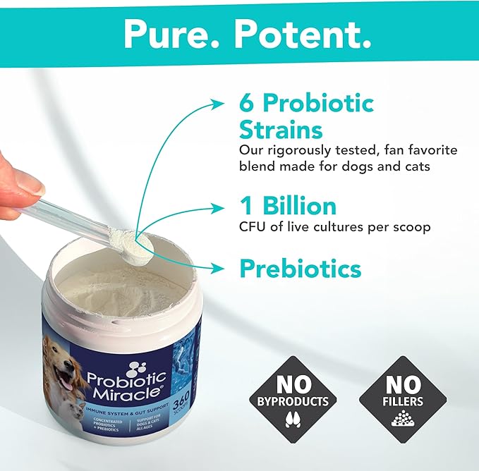 Probiotics for Dogs -(360 Scoops)-Probiotic Miracle -Advanced, Species Specific Probiotics and Prebiotics to Stop Diarrhea, Loose Stool, and Yeast-Plus Immune Support