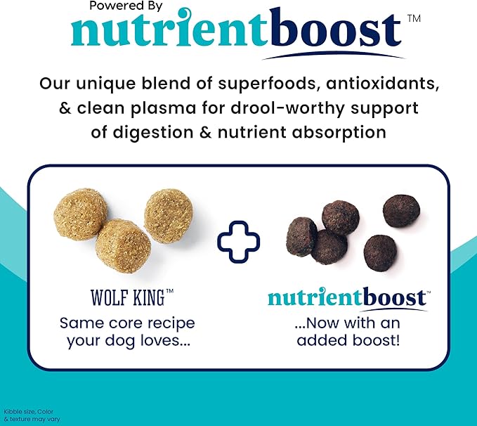 Solid Gold Nutrientboost Wolf King Large Breed Dog Food - Whole Grain Dry Dog Food Kibble Made with Real Bison, Brown Rice & Sweet Potato - Omega 3, Superfood & Digestive Probiotics - 22 LB Bag