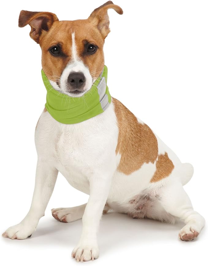 Reflective Pet Gaiter with Insect Protection for Protecting Dogs from Fleas, Ticks, & Mosquitoes, Green, Small