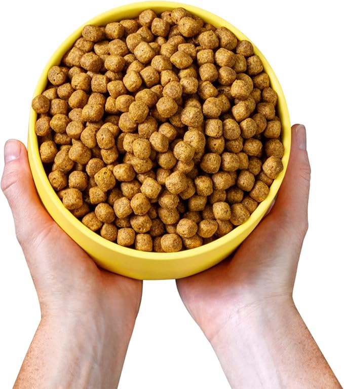 Wild Earth Vegan Dry Dog Food | Plant-Based Maintenance Formula | Vegetarian, Allergy Relief, Veterinarian-Developed for Complete Nutrition | Golden Rotisserie Flavor, 28 Pound Bag