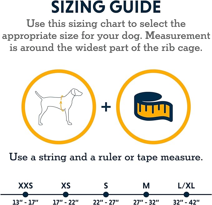 Ruffwear, Swamp Cooler Dog Harness, Lightweight with Evaporative Cooling for Hot Weather, Graphite Gray, Medium