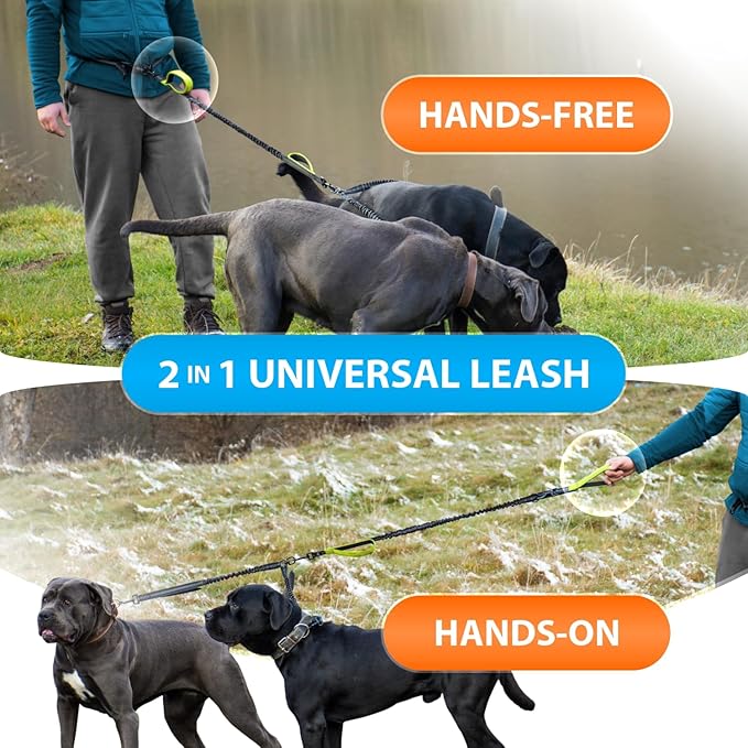 SparklyPets Hands Free Double Dog Leash – Dual Dog Leash for Medium and Large Dogs – Dog Leash for 2 Dogs with Padded Handles, Reflective Stitches, No Pull, Tangle Free
