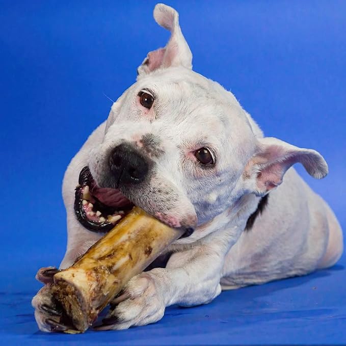 Best Bully Sticks Marrow Bones for Dogs, 3 Pack - USA Packed Healthy Dog Treats, Dog Bones for Large Dogs - Grass-Fed Beef Long Lasting Dog Chews